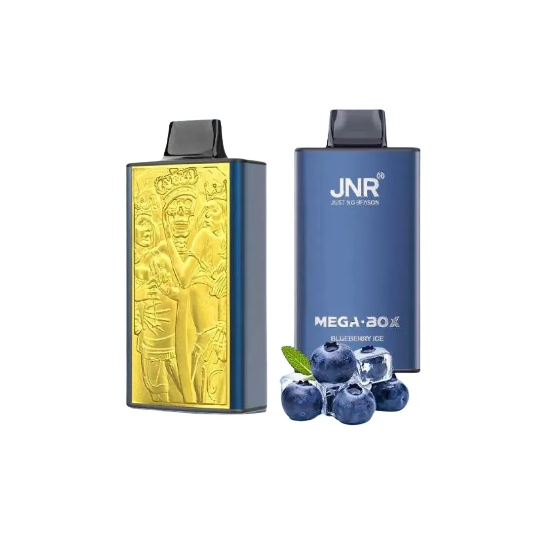 JNR Mega Box 25000 Puffs Prefilled Vape Kit