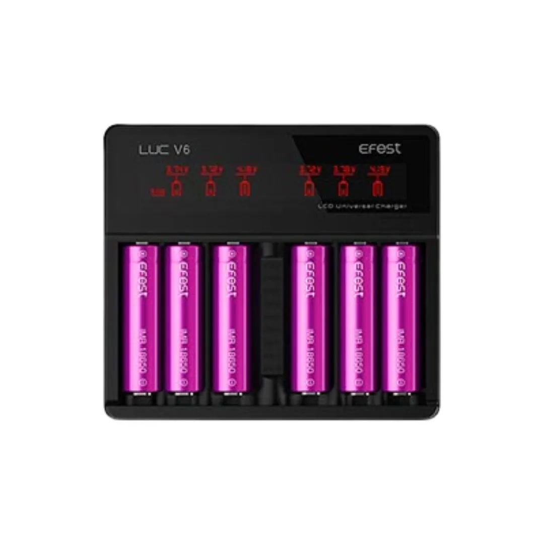 LUC V6 6 BAY Battery Charger