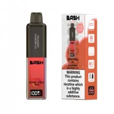 Bash Echo Pro 10000 Puffs Prefilled Pod Kit