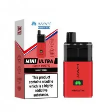 Hayati Mini Ultra 1500 Puffs Prefilled Vape kit