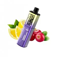 Vaplay VP6000 Puffs Prefilled Vape Kit