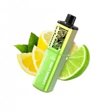 Vaplay VP6000 Puffs Prefilled Vape Kit