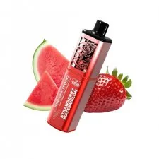 Vaplay VP6000 Puffs Prefilled Vape Kit