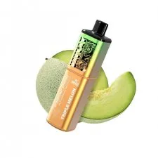 Vaplay VP6000 Puffs Prefilled Vape Kit