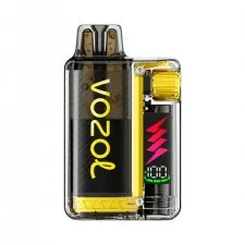 Vozol Vista Plug 10000 Puffs Prefilled kit