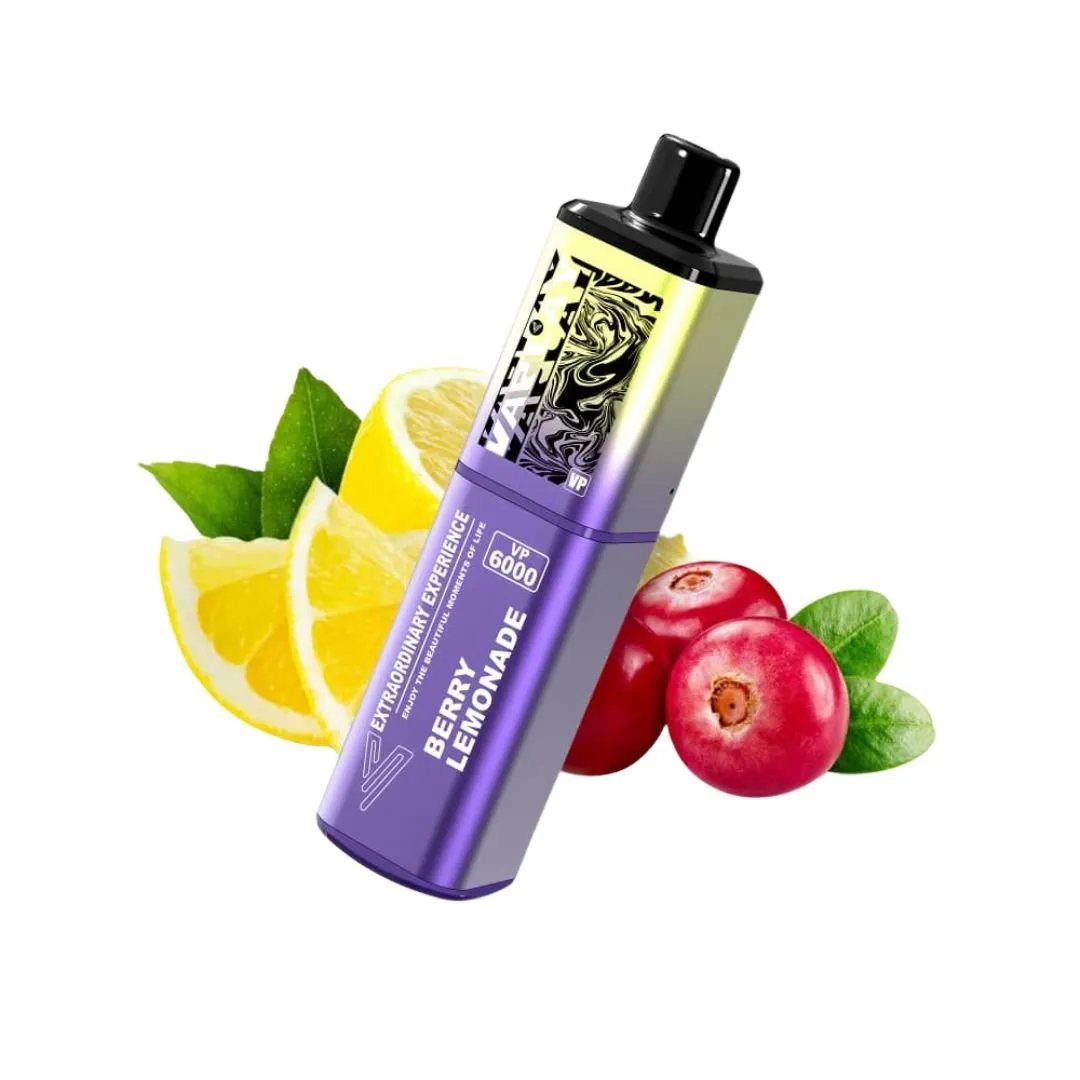 Vaplay VP6000 Puffs Prefilled Vape Kit