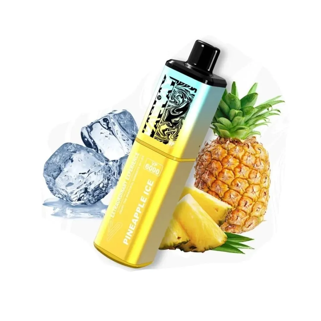 Vaplay VP6000 Puffs Prefilled Vape Kit