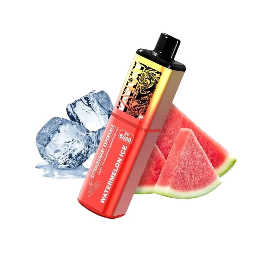 Vaplay VP6000 Puffs Prefilled Vape Kit