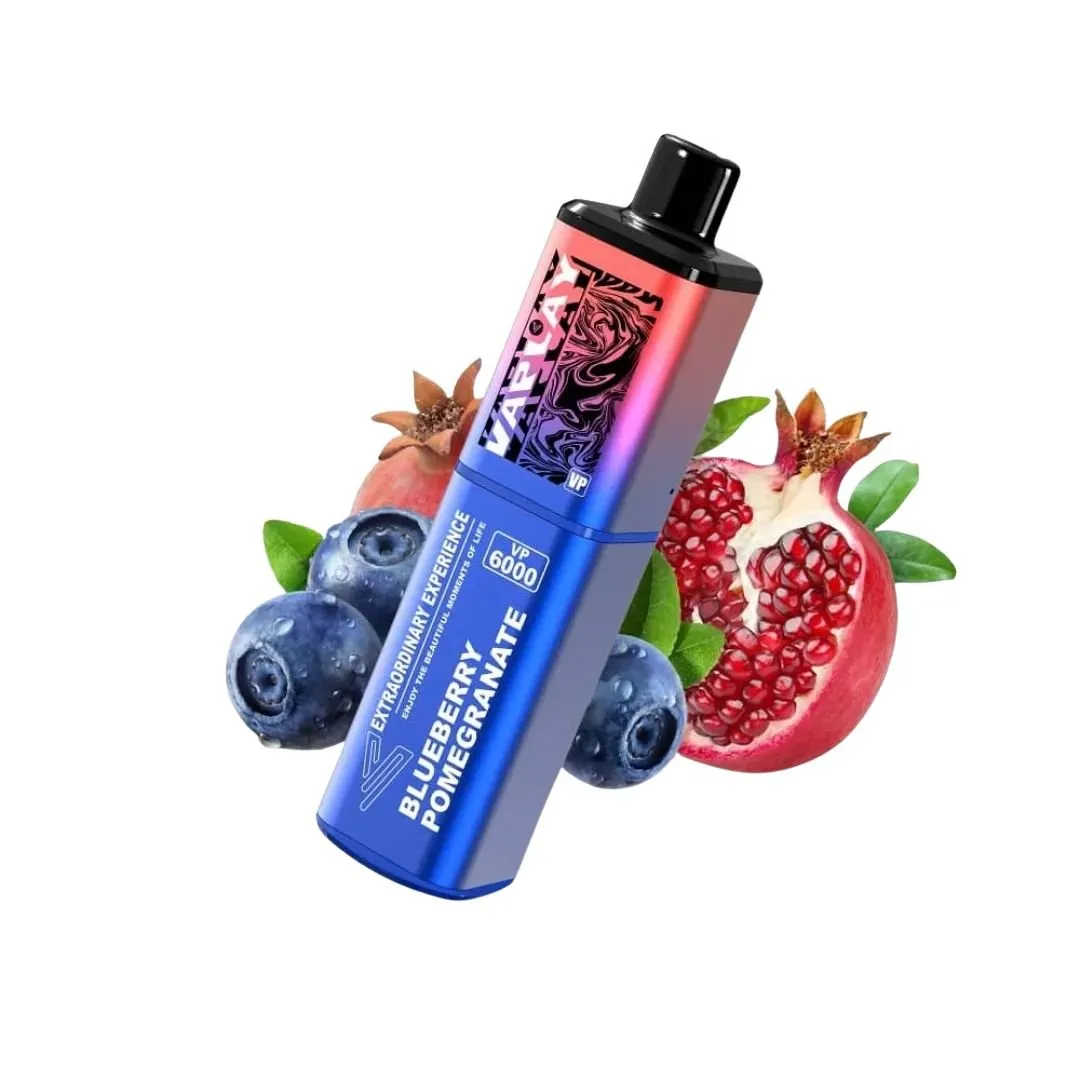 Vaplay VP6000 Puffs Prefilled Vape Kit