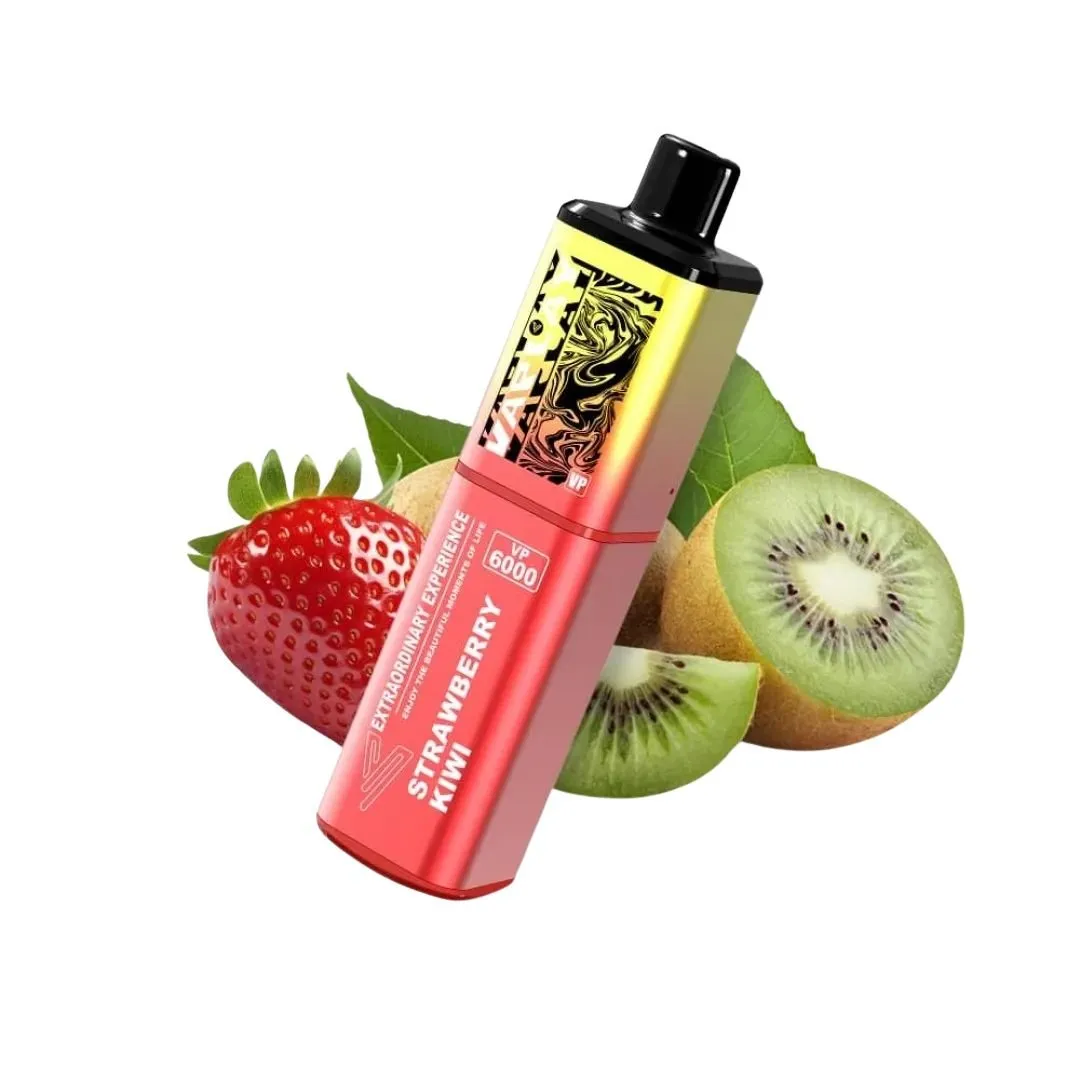 Vaplay VP6000 Puffs Prefilled Vape Kit