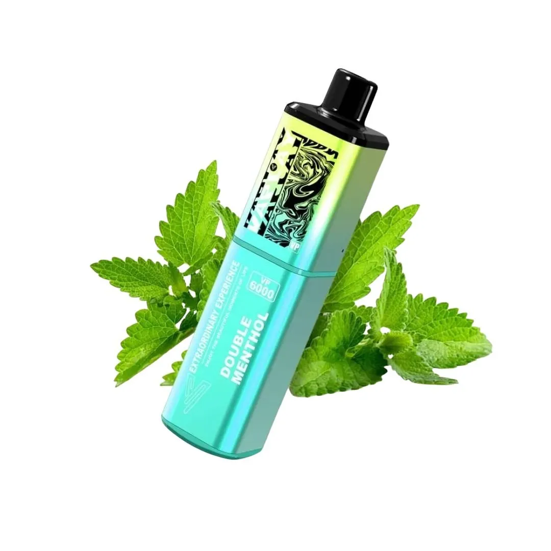 Vaplay VP6000 Puffs Prefilled Vape Kit