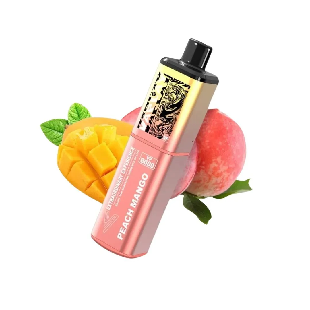 Vaplay VP6000 Puffs Prefilled Vape Kit