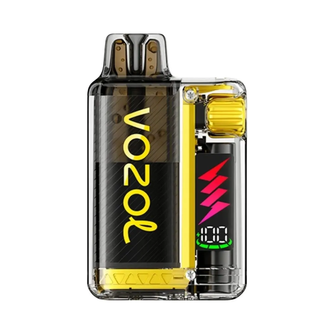 Vozol Vista Plug 10000 Puffs Prefilled kit